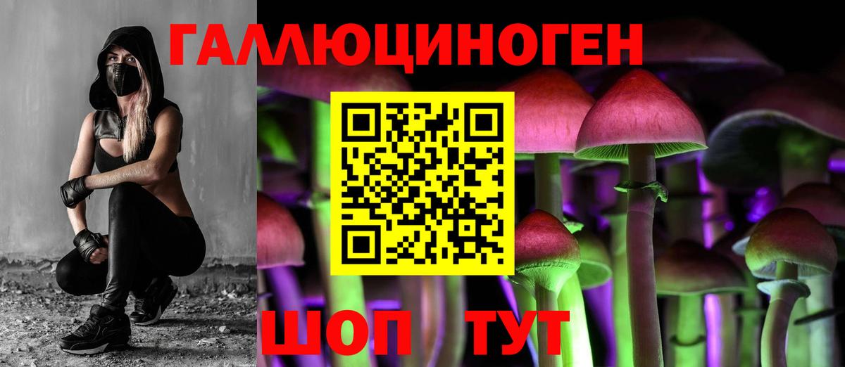 Псилоцибиновые грибы мицелий Кандалакша